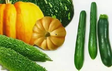 砸水壶吃瓜,夏日里的趣味生活