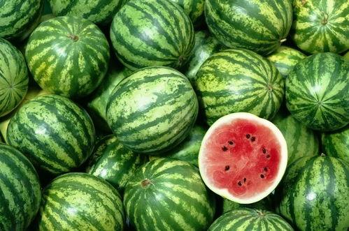 多种吃瓜的视频素材