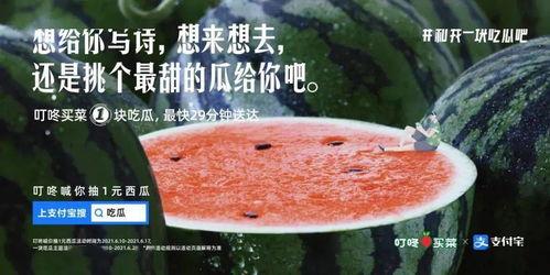 吃烤吃瓜的文案,瓜果飘香，尽享夏日美味时光