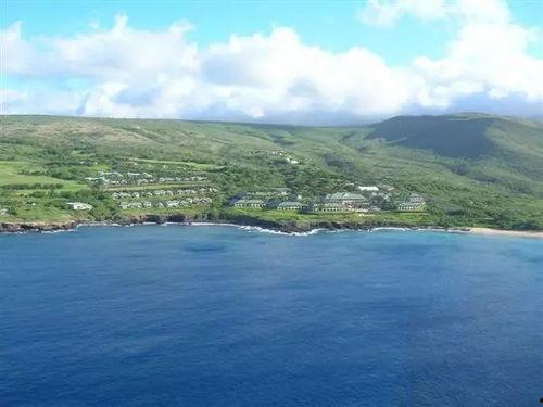 吃瓜的甲骨文,探寻古代饮食文化