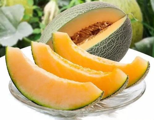 瓜州吃瓜避坑,轻松避坑，畅享夏日美味