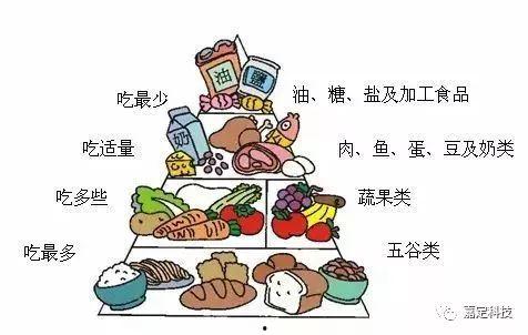 吃瓜老板科普图片,瓜类知识大揭秘