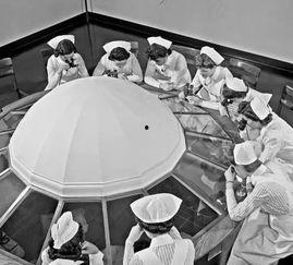 吃瓜解剖室,探寻美食背后的秘密