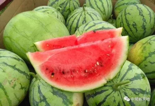 今日免费吃瓜,精彩瞬间不容错过！