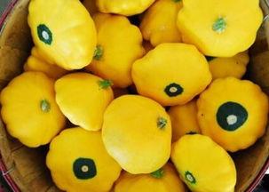 飞碟瓜怎么吃最好,飞碟瓜美味食法大揭秘