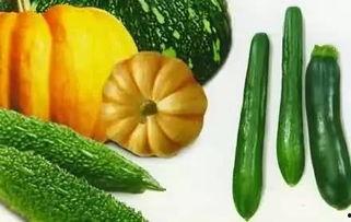 吃瓜夏季,吃瓜群众欢乐多