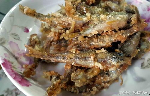 小鱼爱美食吃瓜,一场味蕾与视觉的盛宴之旅