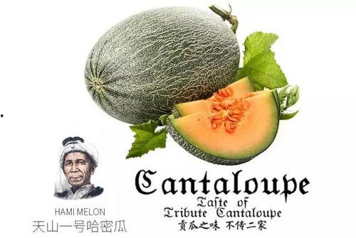 吃瓜看点号,吃瓜看点号带你探秘明星生活