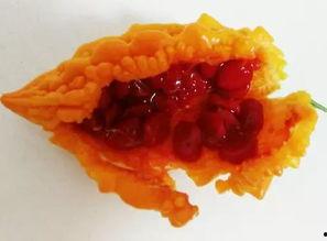 懒懒吃瓜,揭秘娱乐圈幕后故事