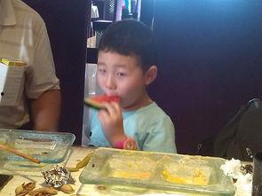 吃瓜酒店事件,揭秘背后真相与网络舆论风暴