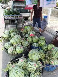 陕西淄博吃瓜事件视频