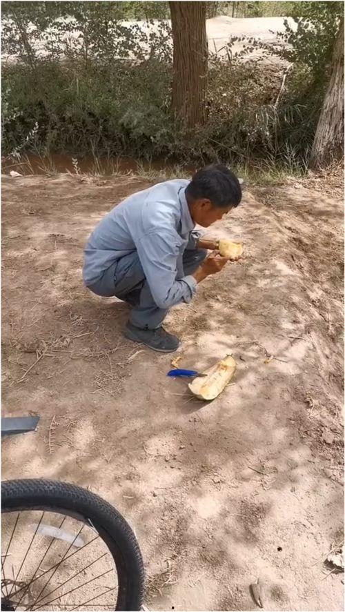 伽师瓜怎么吃正宗