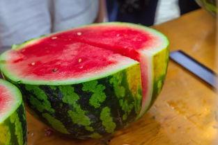 吃瓜学校辽科大,吃瓜群众眼中的校园风云录