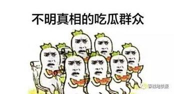 青蛙做吃瓜群众,看人间烟火，品瓜田乐趣