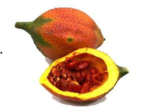 天太热吃瓜视频