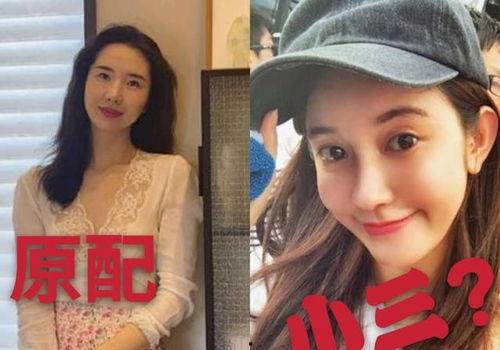 张大奕后续吃瓜,揭秘娱乐圈背后的真相与争议