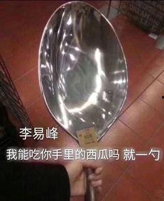 勺子吃瓜表情包