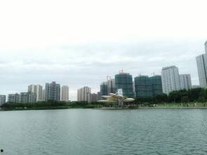 朝阳广场吃瓜,热闹非凡的吃瓜现场，揭秘夏日街头文化