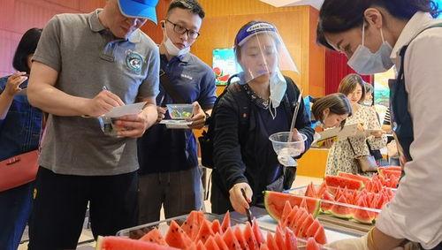 吃瓜上海阿姨,闲话家常，品味人间烟火