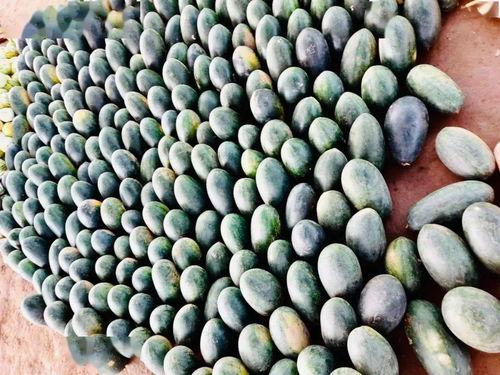 吃瓜认准山竹,吃瓜达人教你如何认准山竹