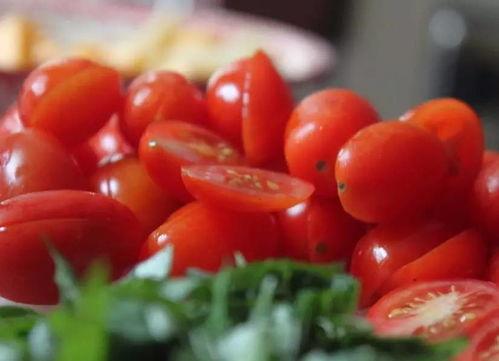 去海南哪里拿哈密瓜吃,探寻最佳采摘地与品尝胜地