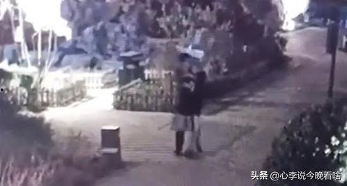 林州最新吃瓜事件视频,视频揭秘惊人真相