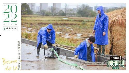 种地吧全员吃瓜,一场欢乐的田间盛宴