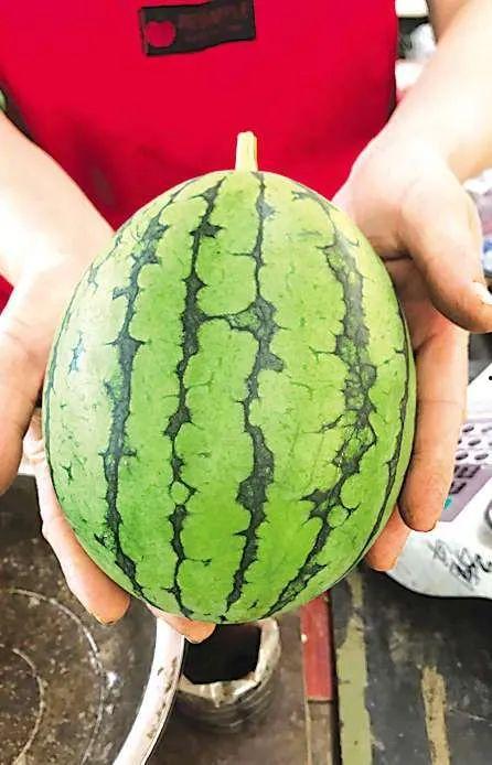 729吃瓜事件,揭秘网络舆论的狂欢与反思