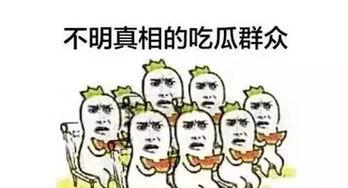 呆呆的吃瓜群众,揭秘娱乐圈幕后故事