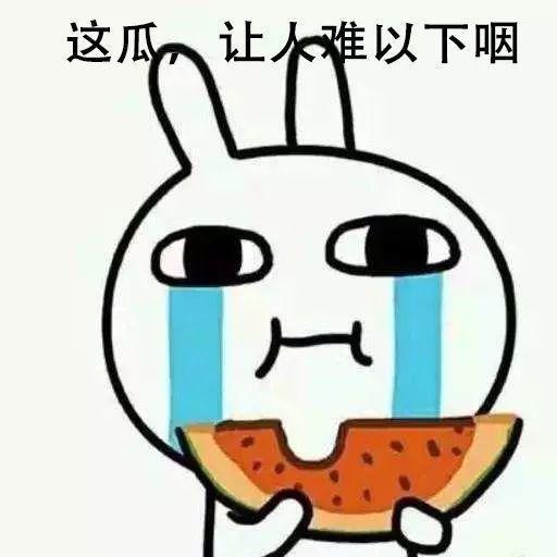 吃瓜网蔡总,从幕后推手到行业翘楚的蜕变之路