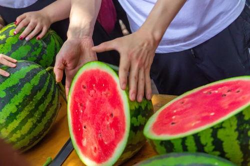 哈尔滨大学教室吃瓜,哈尔滨大学教室里的“瓜田”奇观