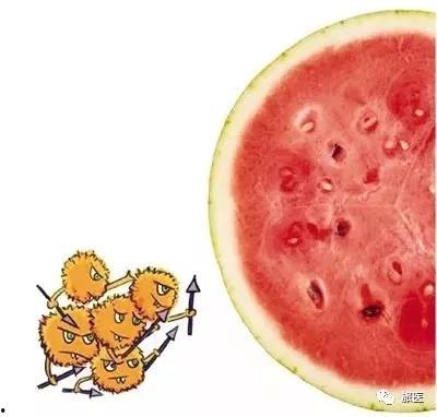 吃瓜导致嗓子剧痛