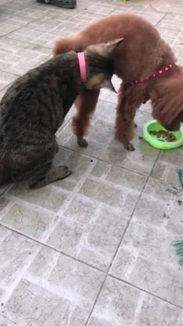 小老弟吃瓜作品,揭秘娱乐圈那些不为人知的幕后故事