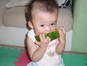 小猪吃瓜图片大全,趣味图片大盘点