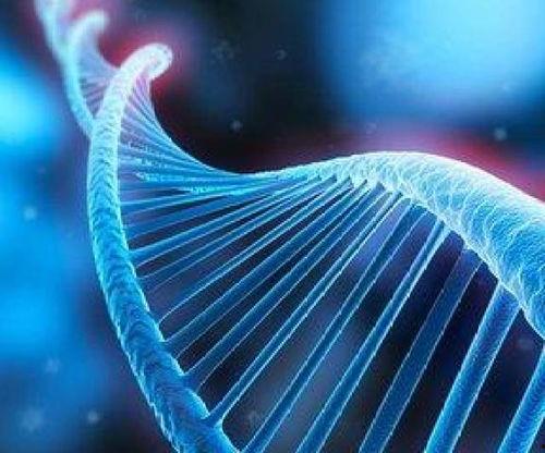 dna鉴定吃瓜,吃瓜背后的基因奥秘