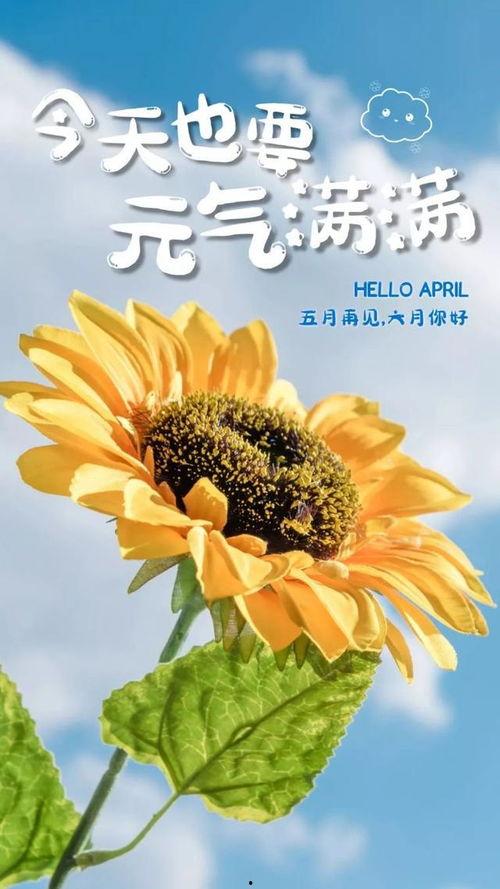 吃珍珠瓜文案短句,夏日清新口感之旅