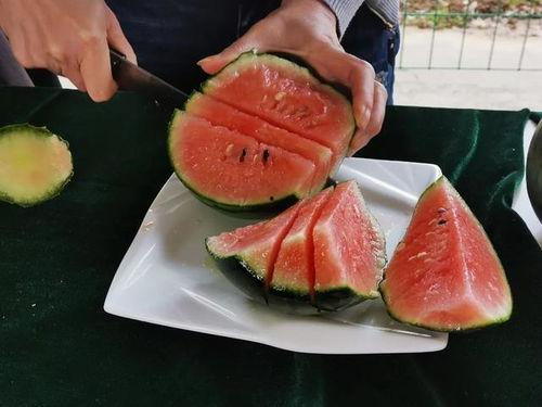 袁庄吃瓜,揭秘乡村生活的酸甜苦辣