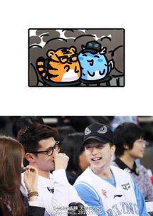 吃瓜七队,一场娱乐界的狂欢盛宴