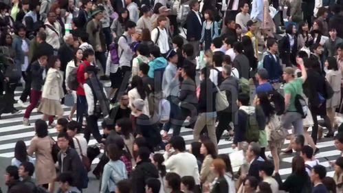 吃瓜群众海上跳舞,揭秘吃瓜群众海上狂欢的舞蹈魅力