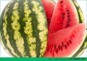 天天吃瓜-吃不完的新鲜大瓜,天天吃瓜，新鲜大瓜一网打尽