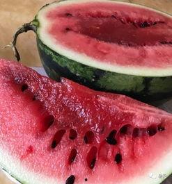 瓜越吃越多怎办,破解瓜果诱惑的饮食策略